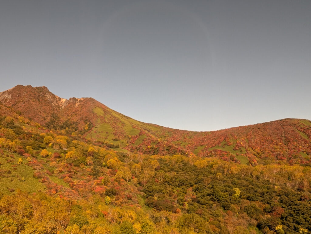 こちらはロープウェイから見た景色です 窓にカラーフィルムが貼ってあったので、セピアっぽい感じになってます